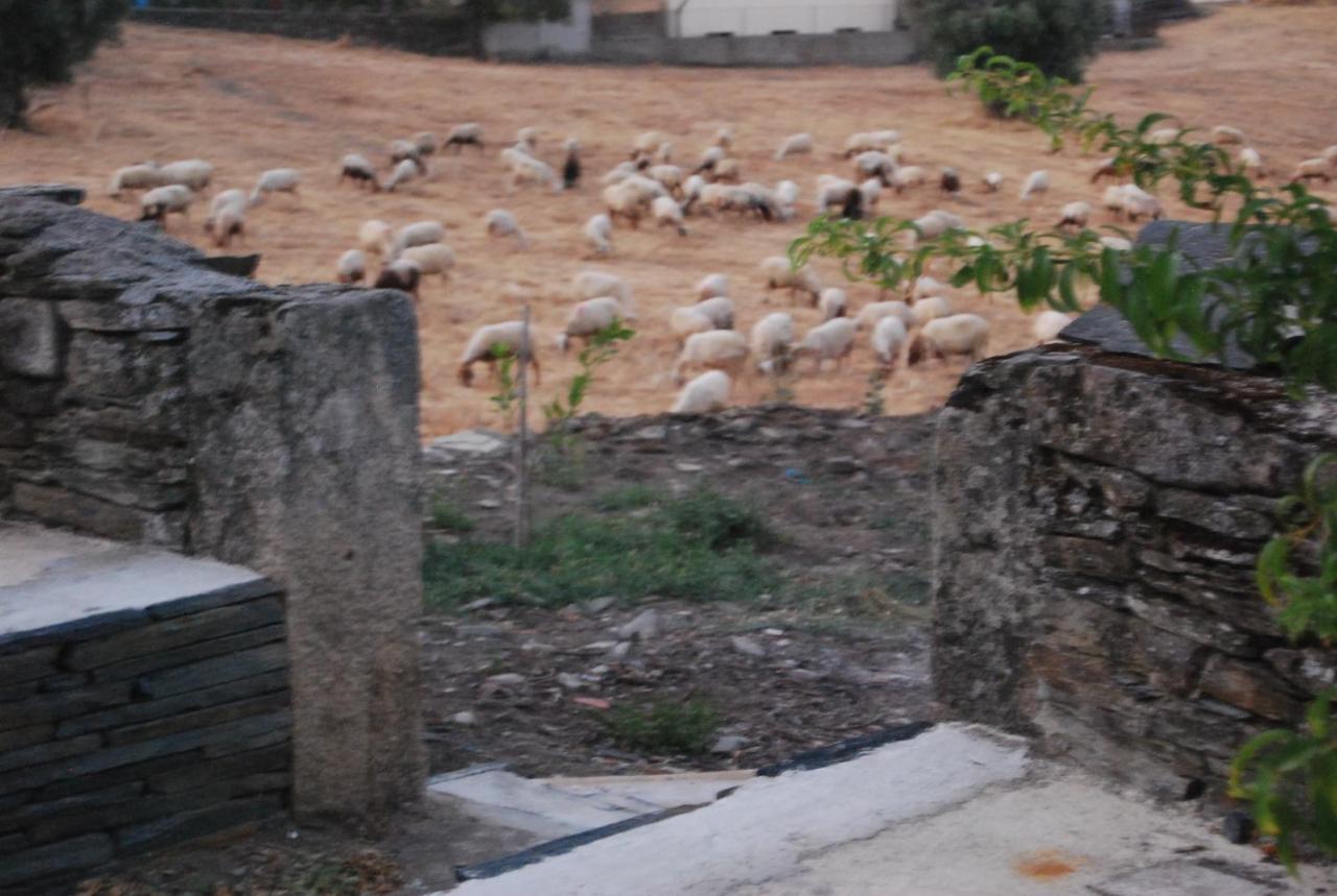 Casa Dos Primos Hotel Muxagata  Bagian luar foto